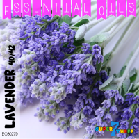 s73_eo30279_products_2025