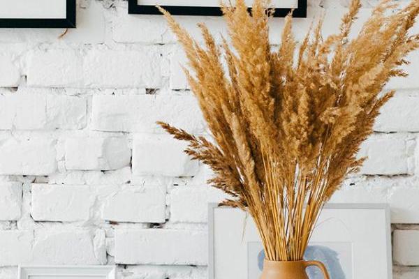 Streamline customized models