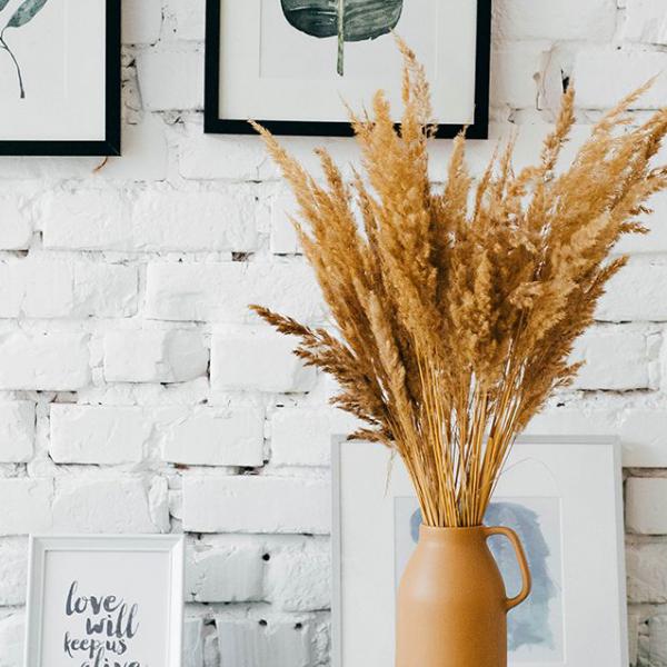 Streamline customized models